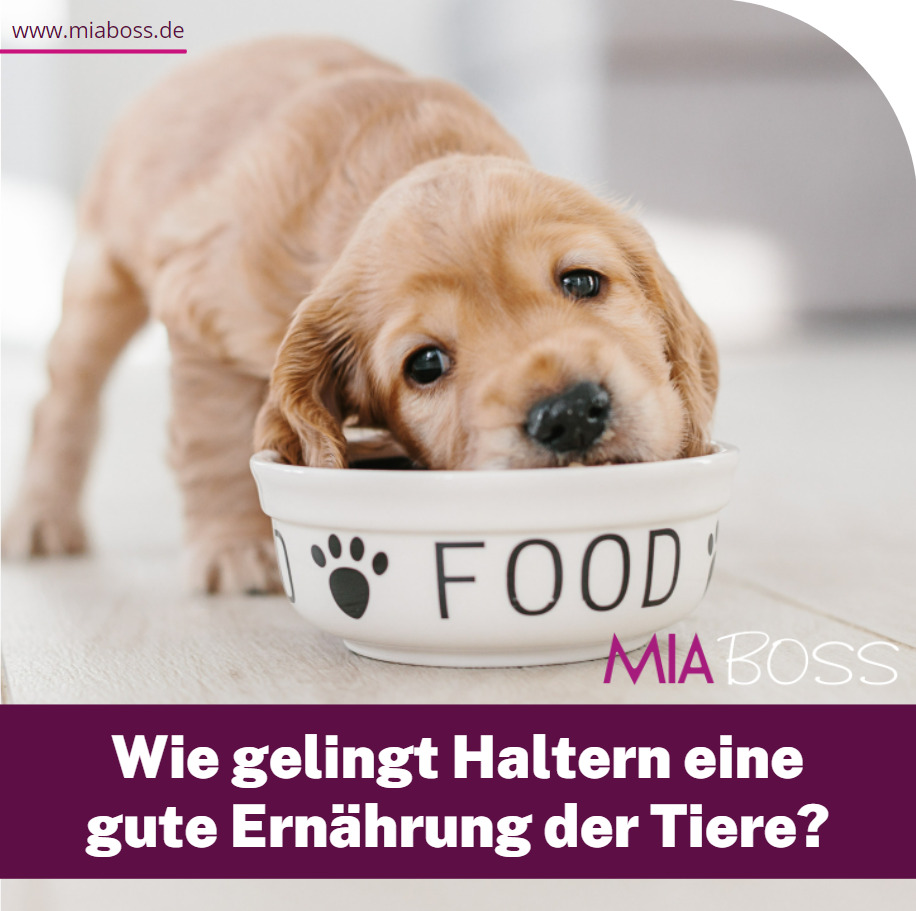 gute Ernährung der Tiere