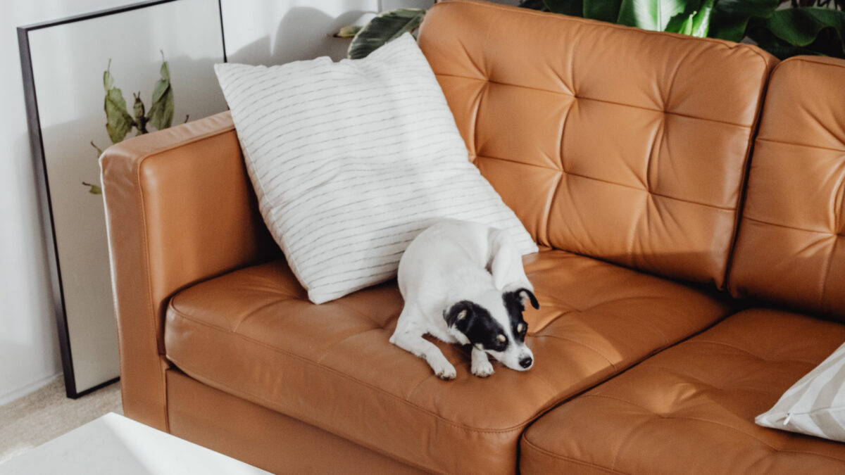 Gemütliches Sofa für kleine Räume: