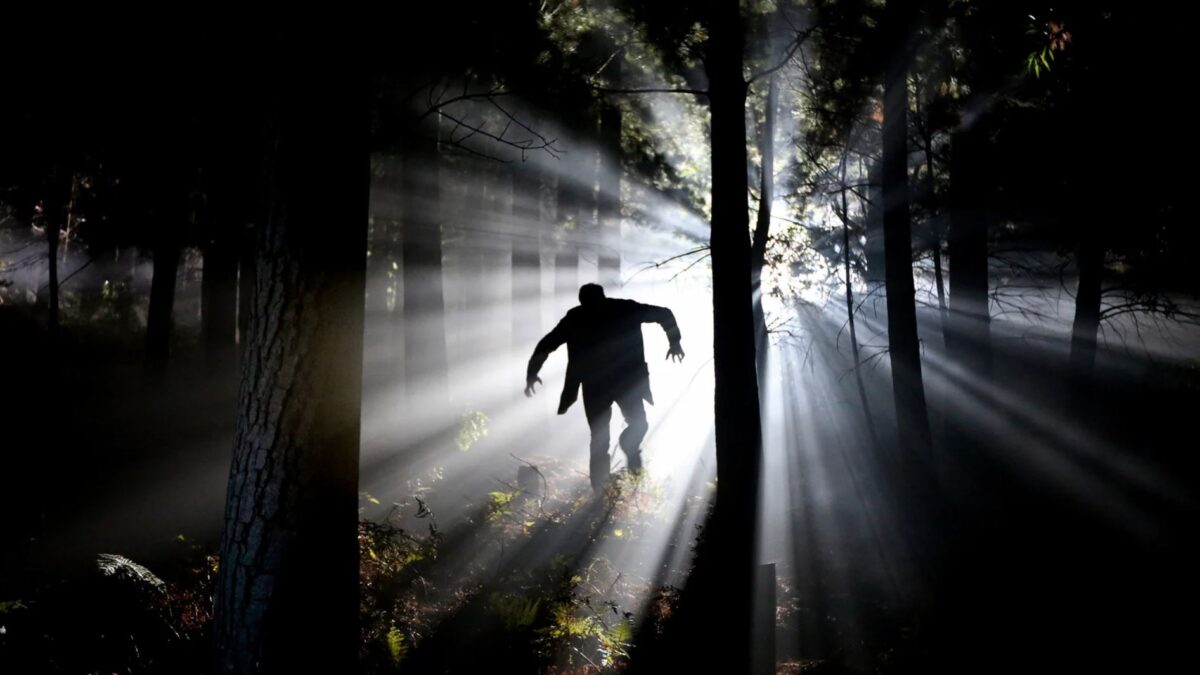 From Staffel 4 - Staffel und Cast der Horrorserie