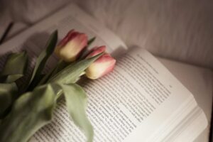 Twisted Reihe von Ana Huang – das ist die richtige Buchreihe