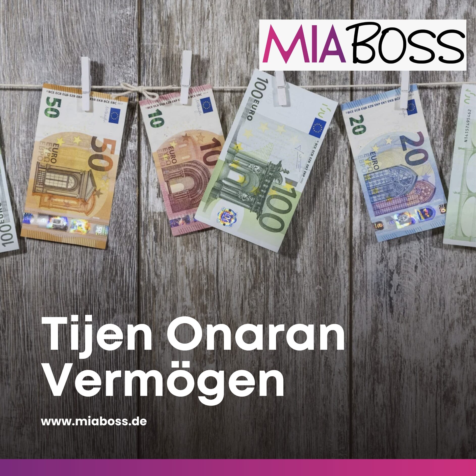 Tijen Onaran Vermögen