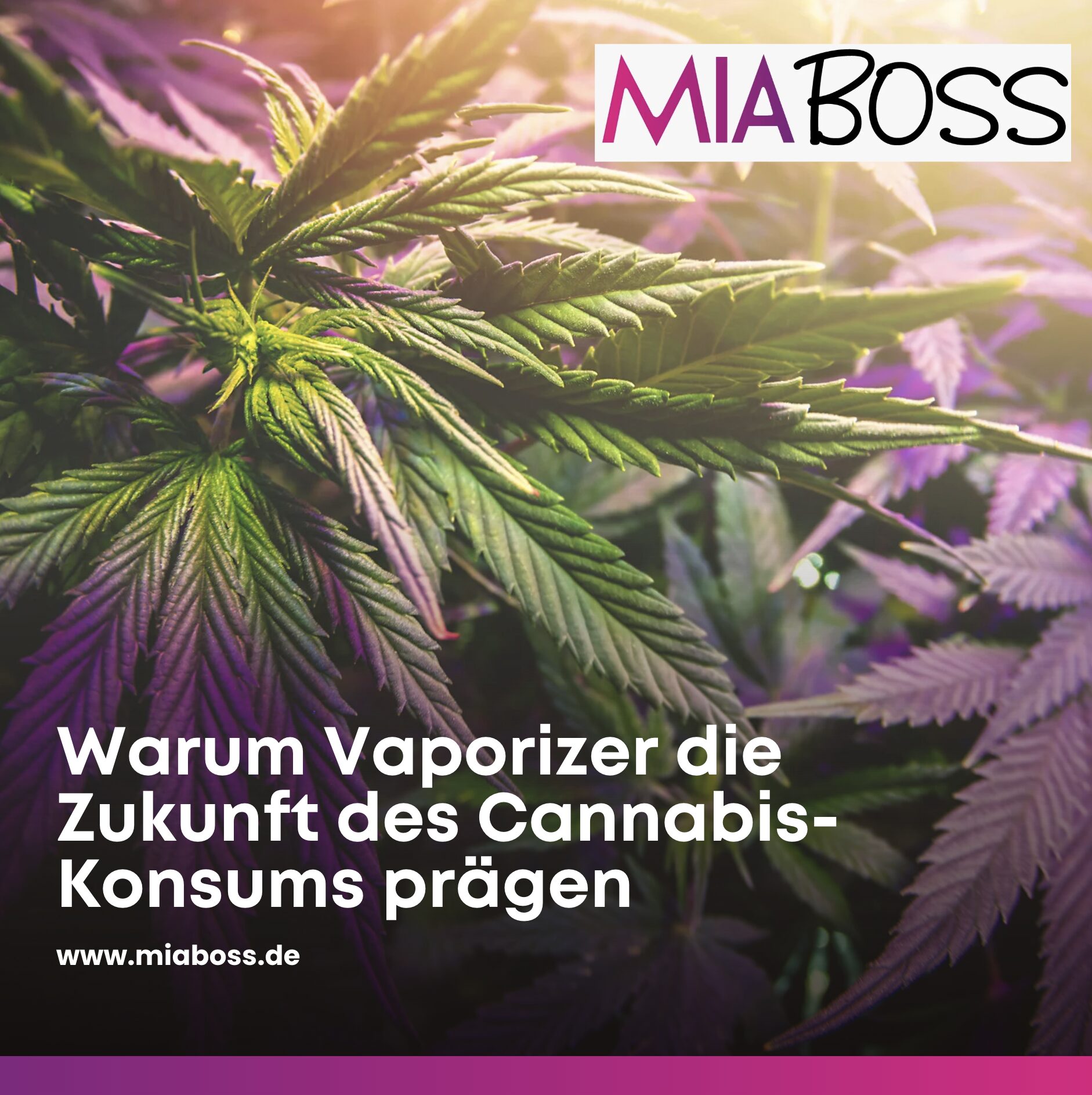 Warum Vaporizer die Zukunft des Cannabis-Konsums prägen