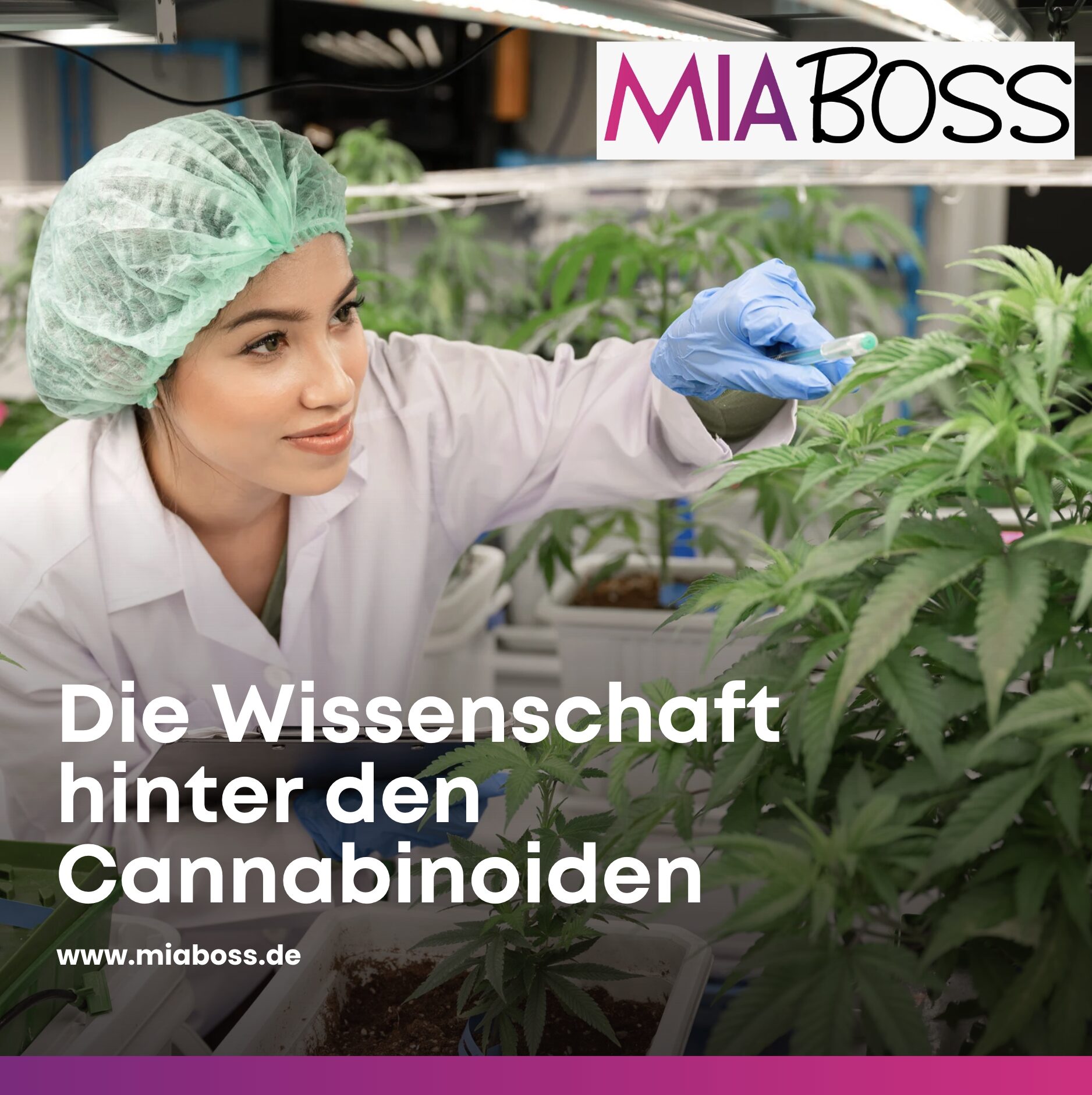 Die Wissenschaft hinter den Cannabinoiden Die Wissenschaft hinter den Cannabinoiden