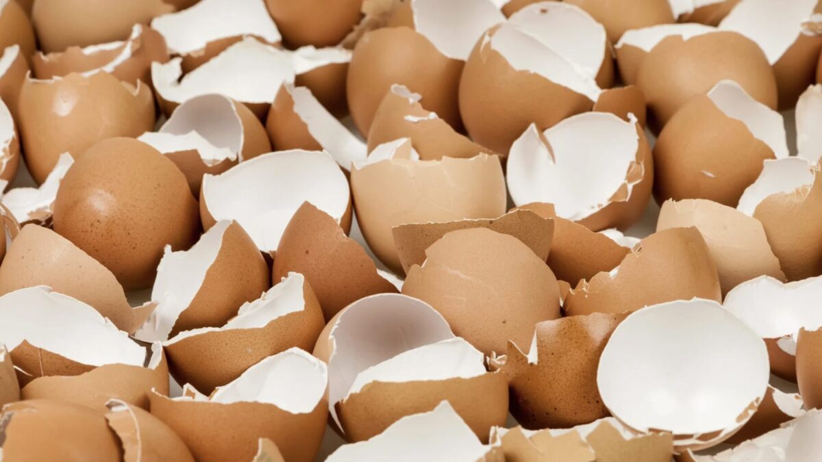 Gemahlene Eierschalen für Menschen liefern Kalzium, stärken Knochen und eignen sich als natürlicher Zusatz zur täglichen Ernährung.