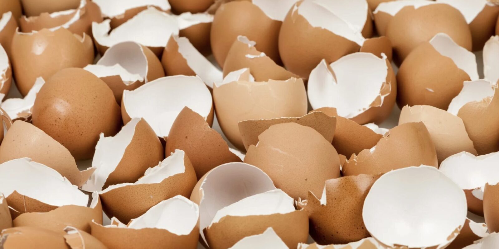 Gemahlene Eierschalen für Menschen liefern Kalzium, stärken Knochen und eignen sich als natürlicher Zusatz zur täglichen Ernährung.