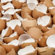 Gemahlene Eierschalen für Menschen liefern Kalzium, stärken Knochen und eignen sich als natürlicher Zusatz zur täglichen Ernährung.
