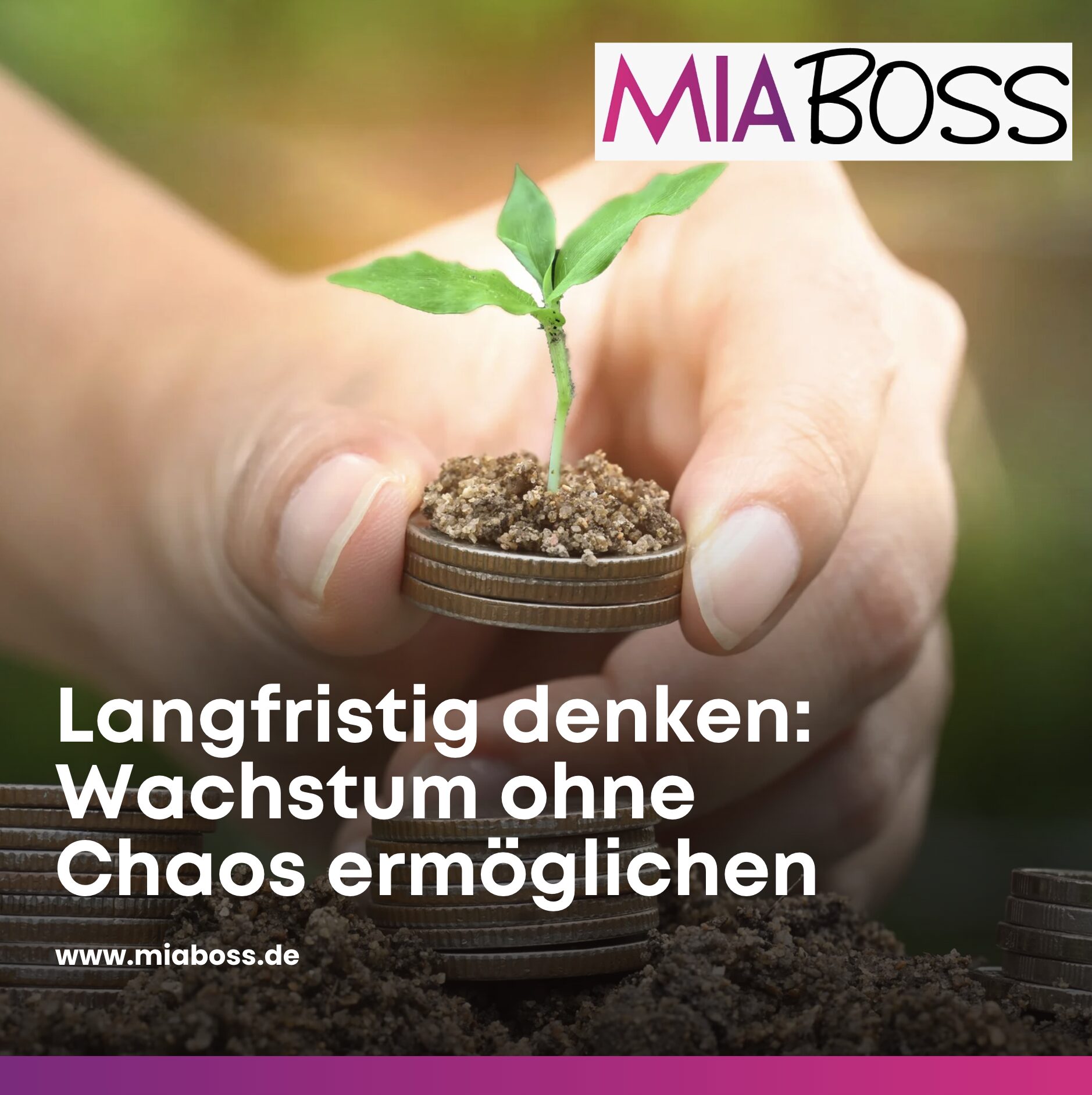 Langfristig denken: Wachstum ohne Chaos ermöglichen Langfristig denken: Wachstum ohne Chaos ermöglichen