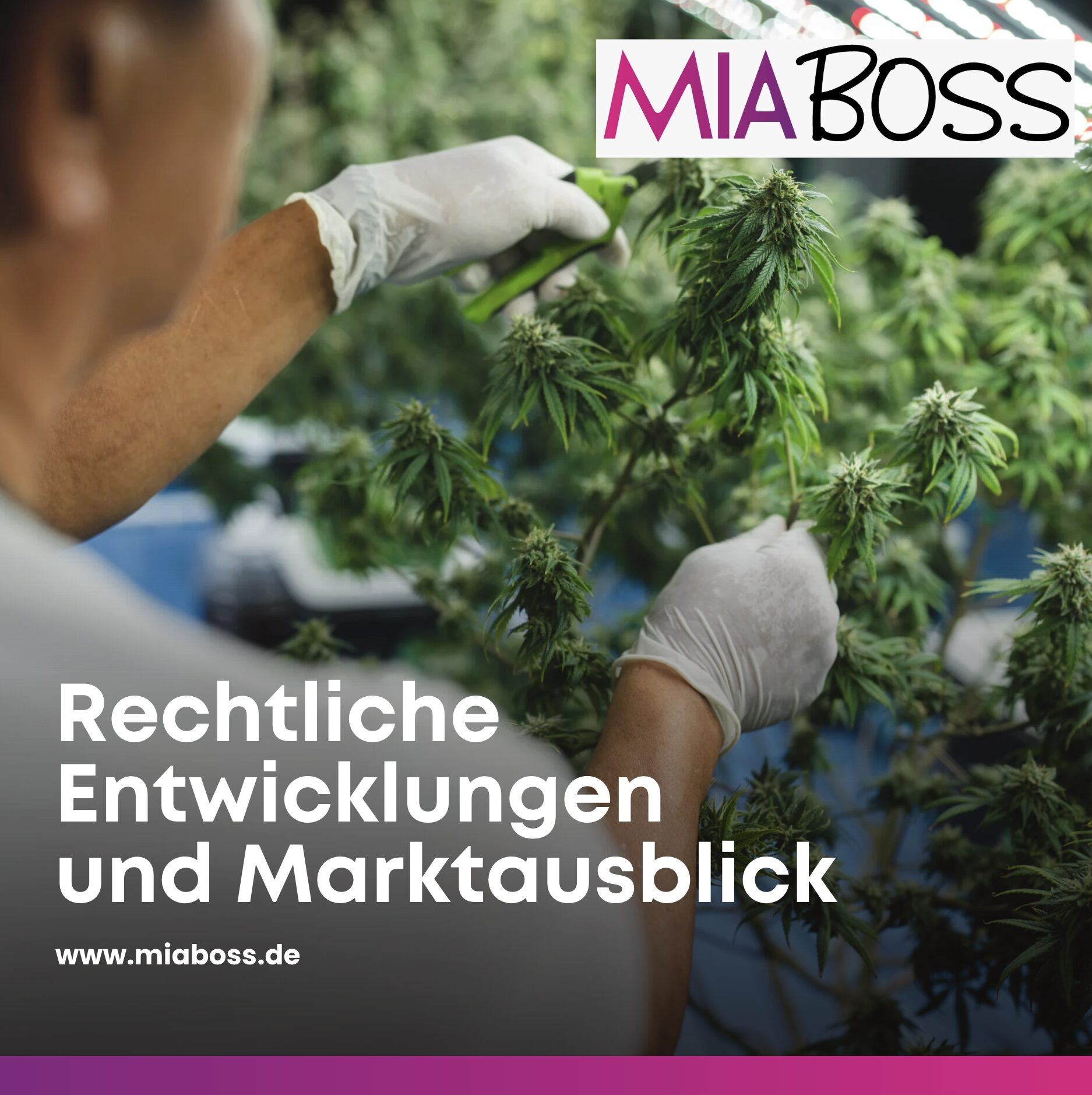 Rechtliche Entwicklungen und Marktausblick Rechtliche Entwicklungen und Marktausblick