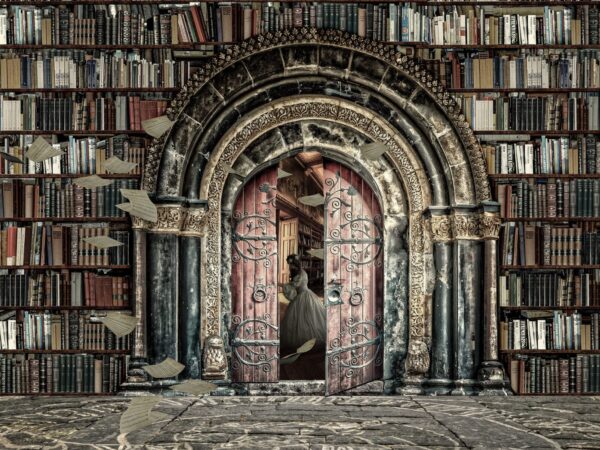 Dark Romance Fantasy Bücher