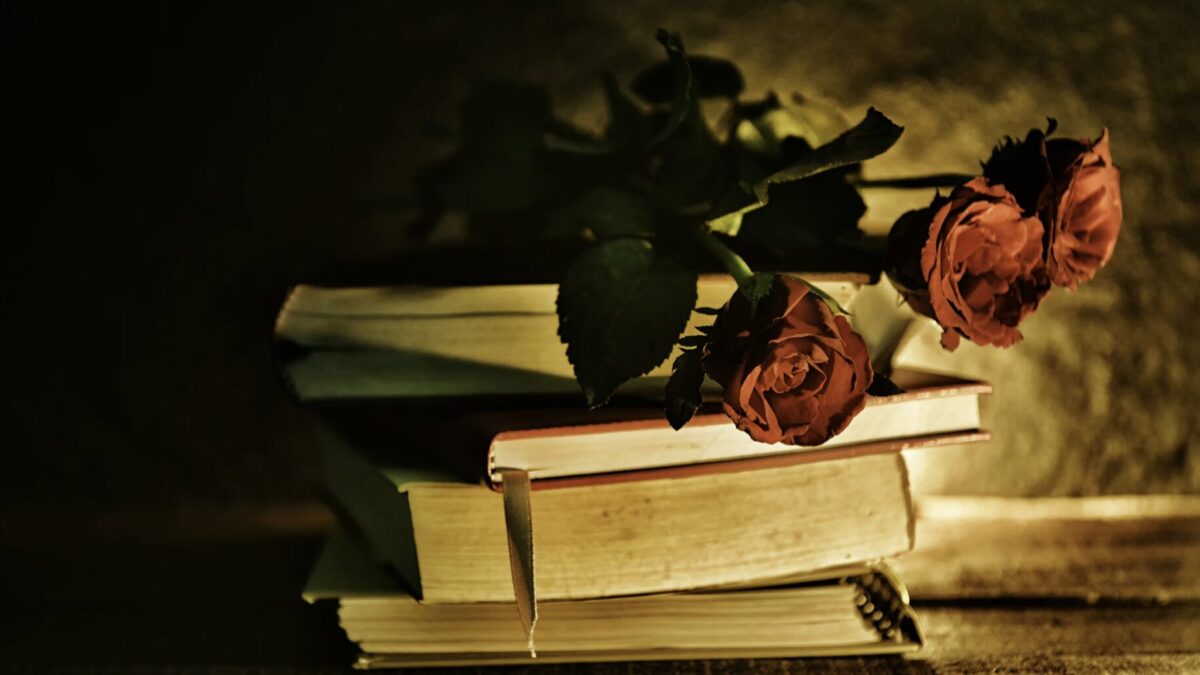 Was macht Dark Romance aus?