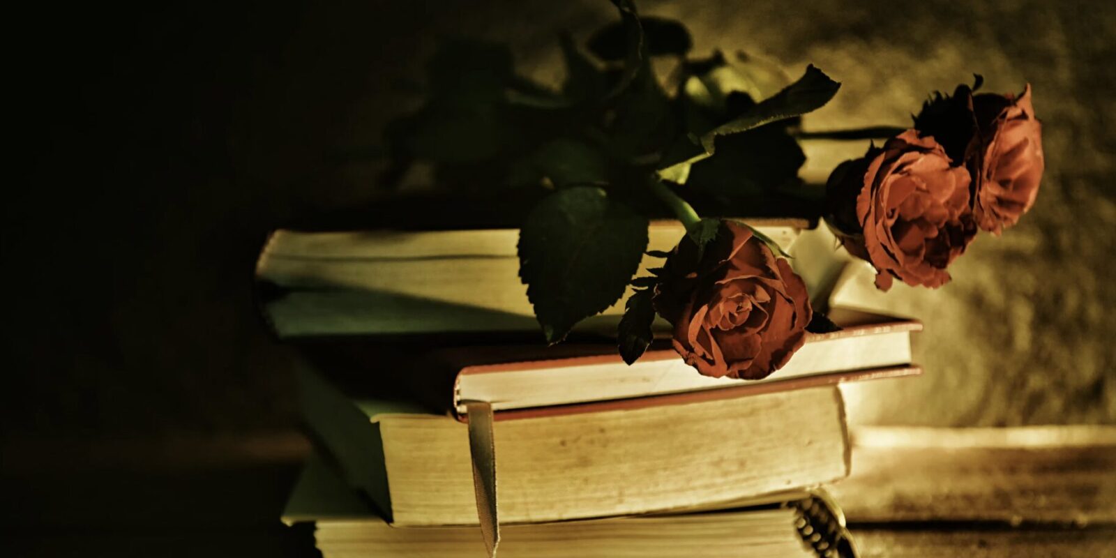 Was macht Dark Romance aus?