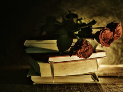 Was macht Dark Romance aus?