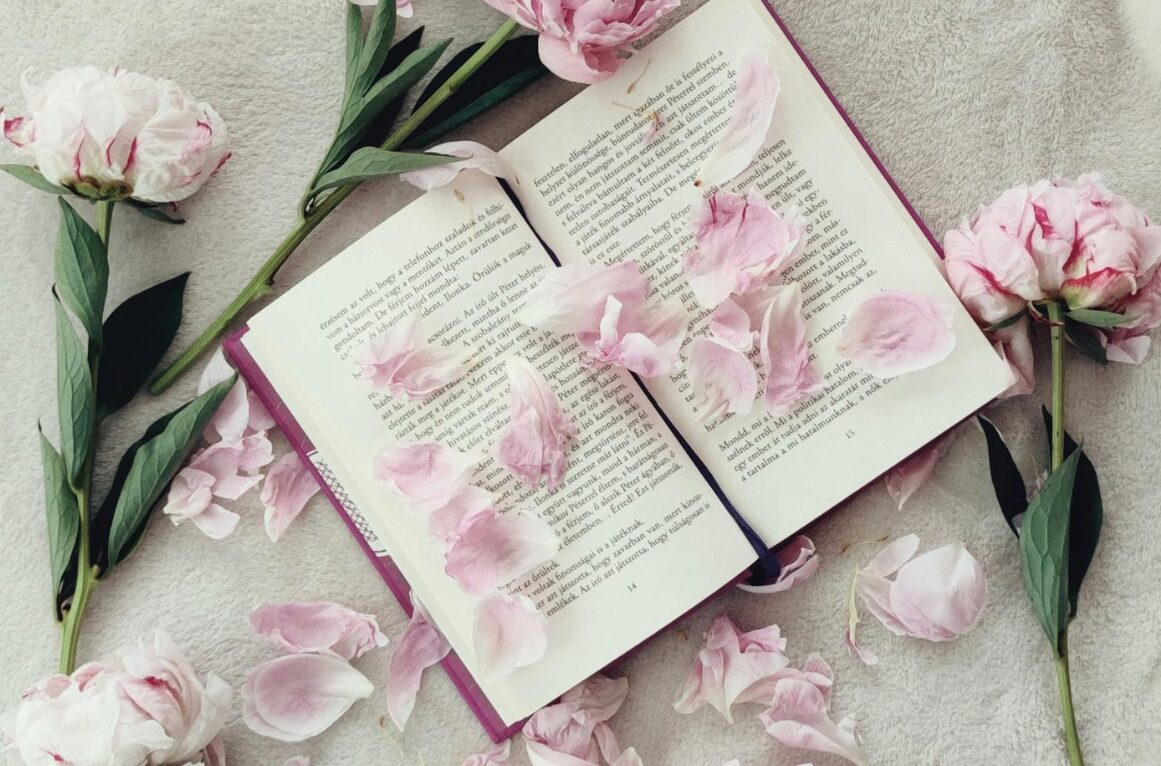 Booktok Bestsellerliste
