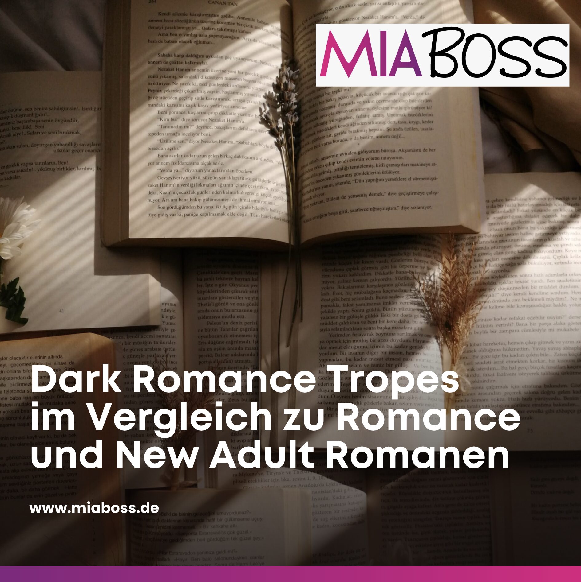 Dark Romance Tropes im Vergleich zu Romance und New Adult Romanen Dark Romance Tropes im Vergleich zu Romance und New Adult Romanen