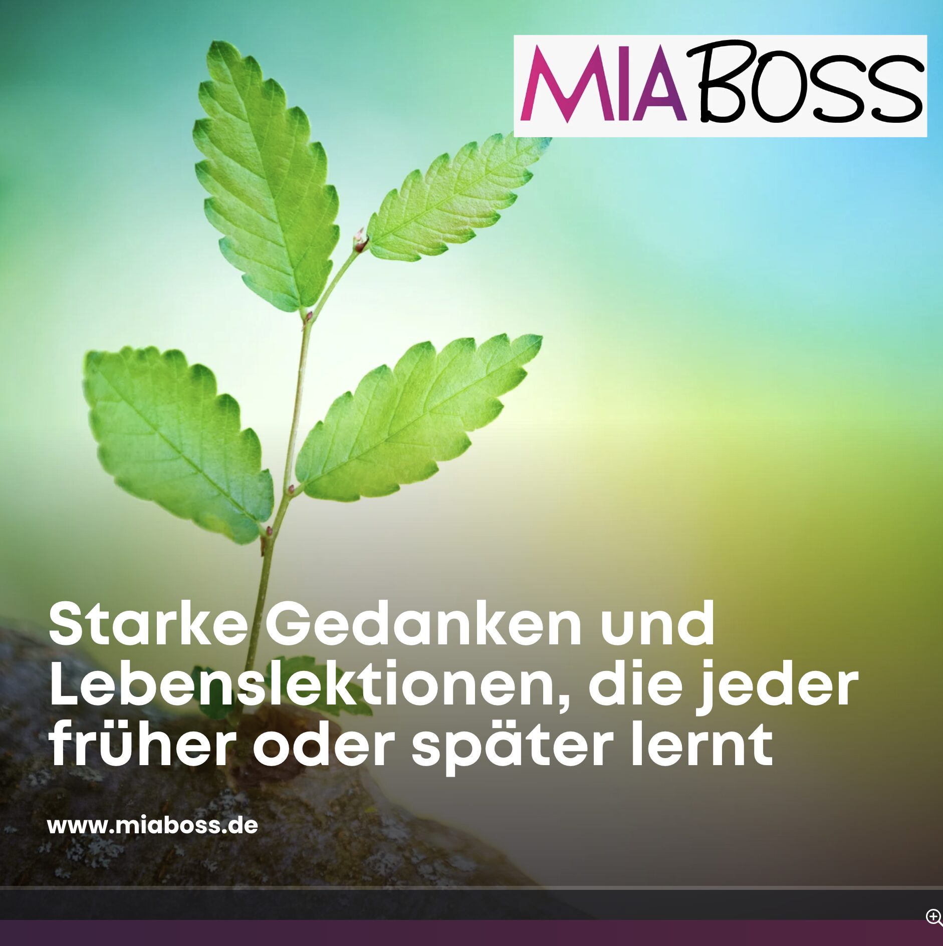 Starke Gedanken und Lebenslektionen, die jeder früher oder später lernt Starke Gedanken und Lebenslektionen, die jeder früher oder später lernt