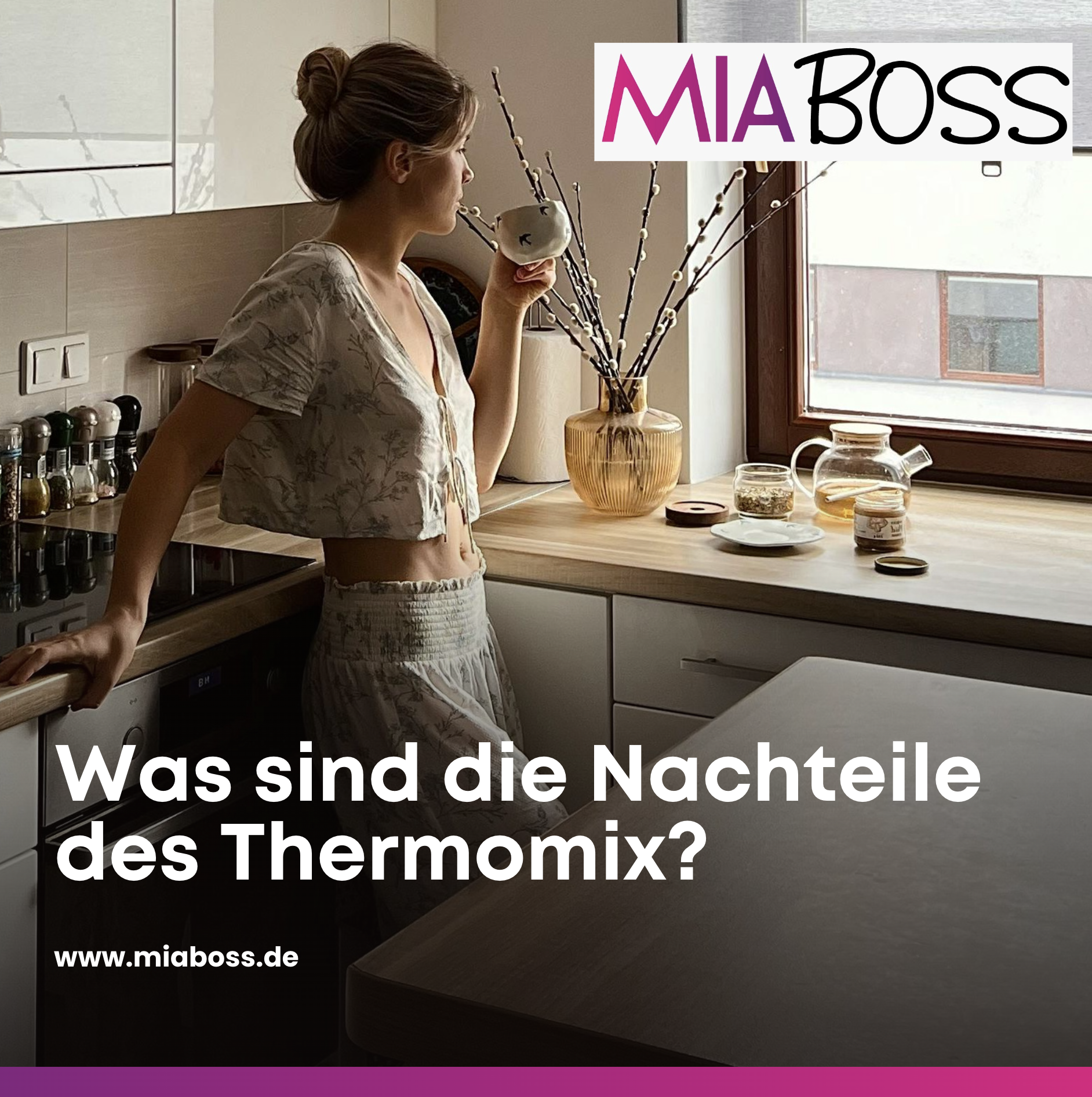 Was sind die Nachteile des Thermomix? Was sind die Nachteile des Thermomix?