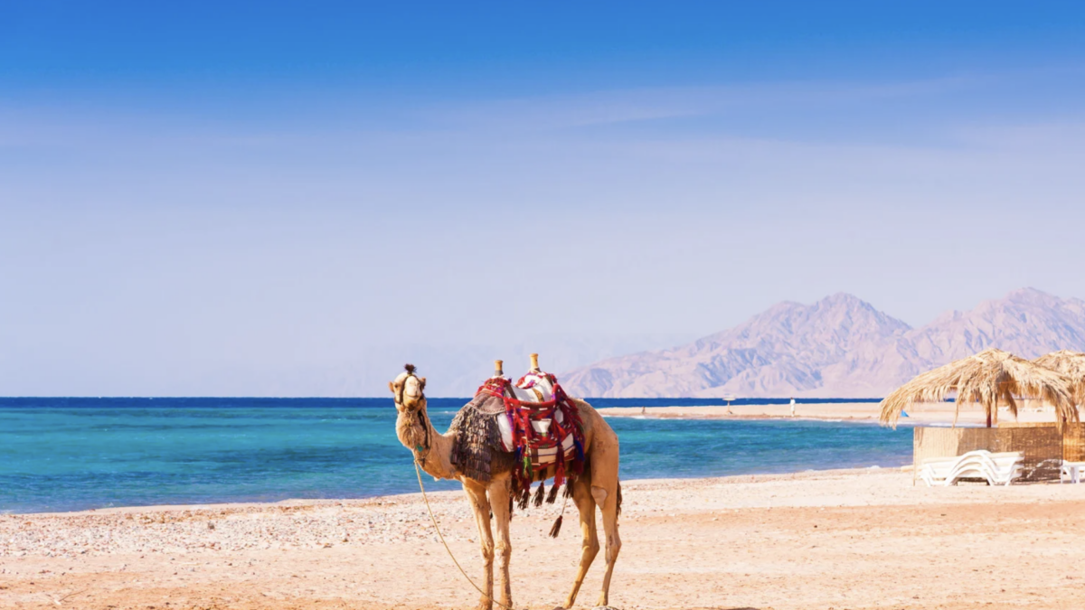 Wie warm ist es im Juni in Ägypten