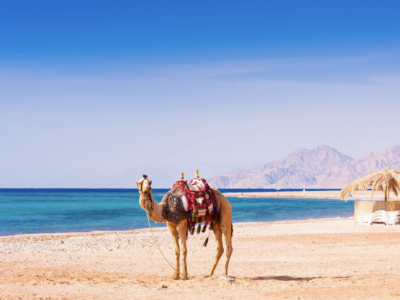 Wie warm ist es im Juni in Ägypten