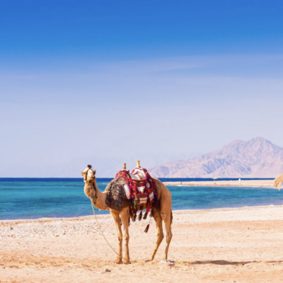 Wie warm ist es im Juni in Ägypten