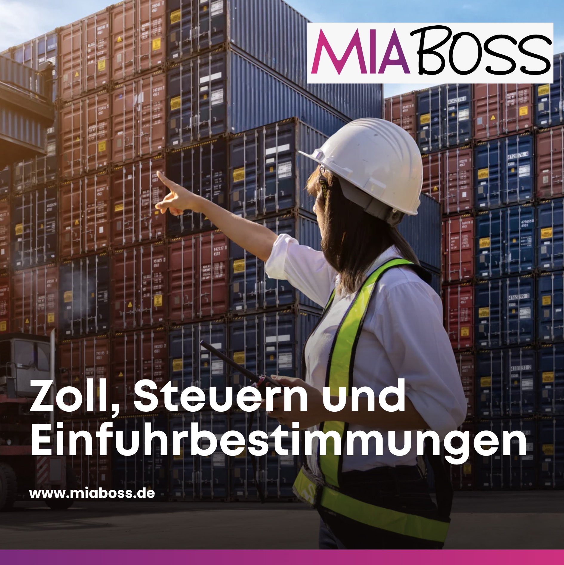 Zoll, Steuern und Einfuhrbestimmungen